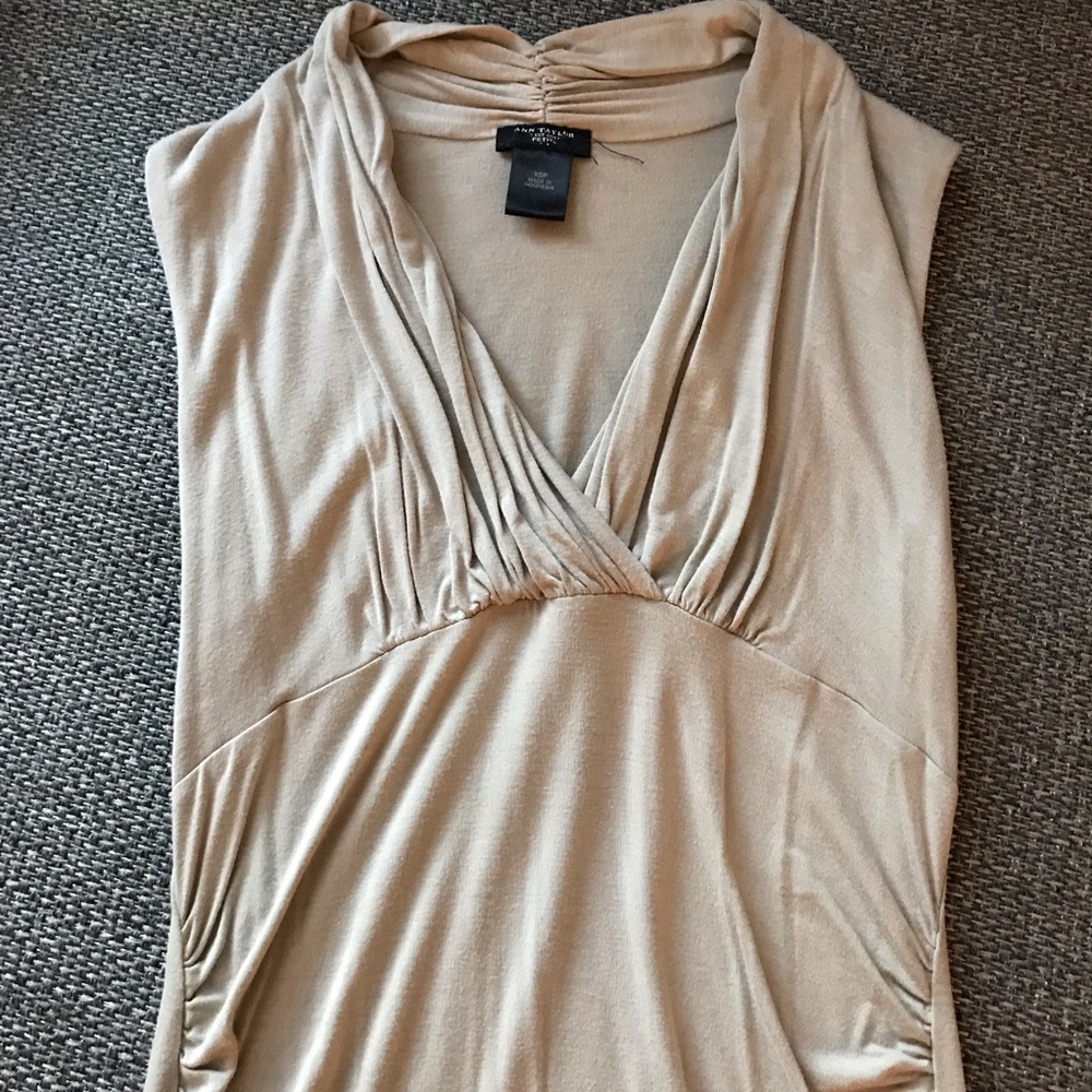 Ann Taylor Champagne Top PXS